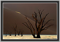 Sonnenaufgang im Dead Vlei, Namibia